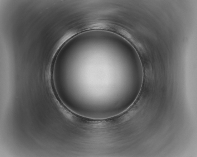 X0000111511426200907211154