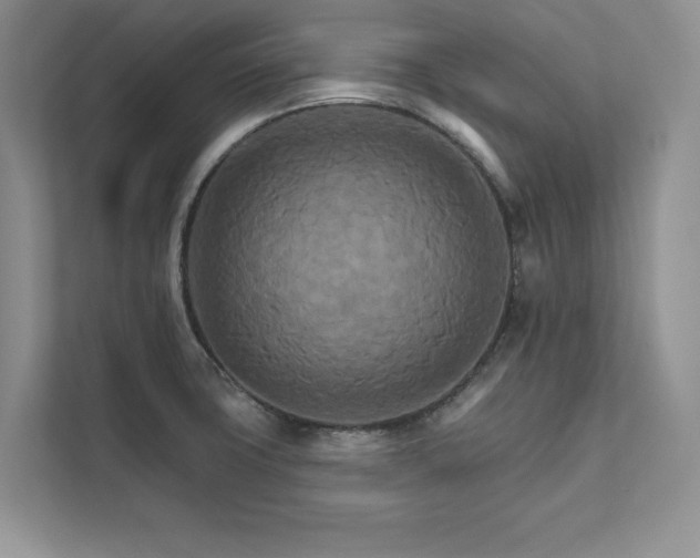 X0000111511427200907211154