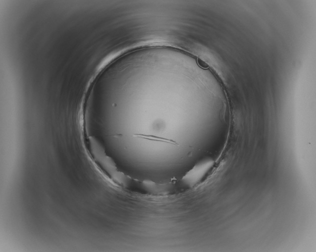 X0000111511428200907211154