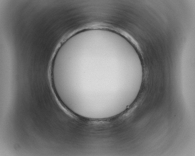 X0000111511429200907211154