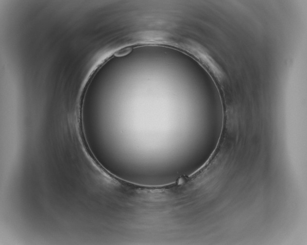 X0000111511432200907211154