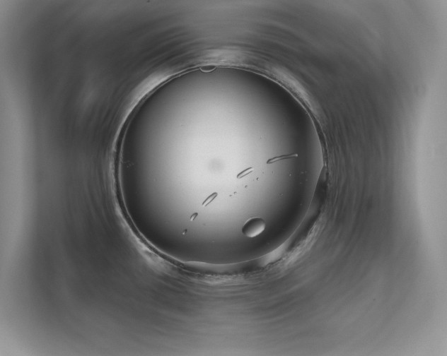 X0000111511434200907211154