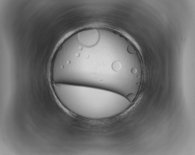 X0000111511437200907211154