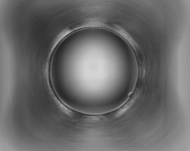 X0000111511438200907211154