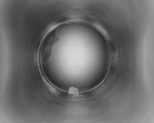 X0000111511439200907211154