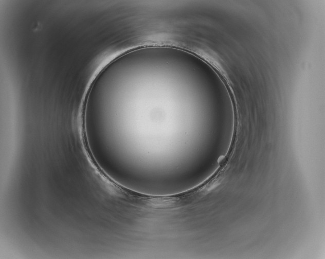 X0000111511440200907211154
