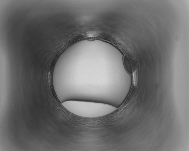 X0000111511443200907211153