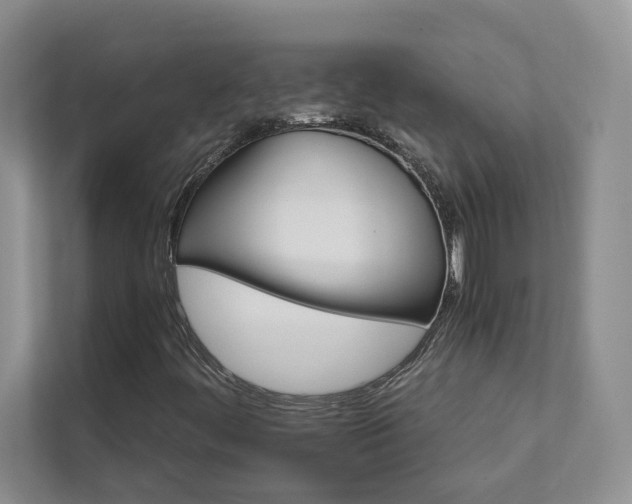 X0000111511444200907211153