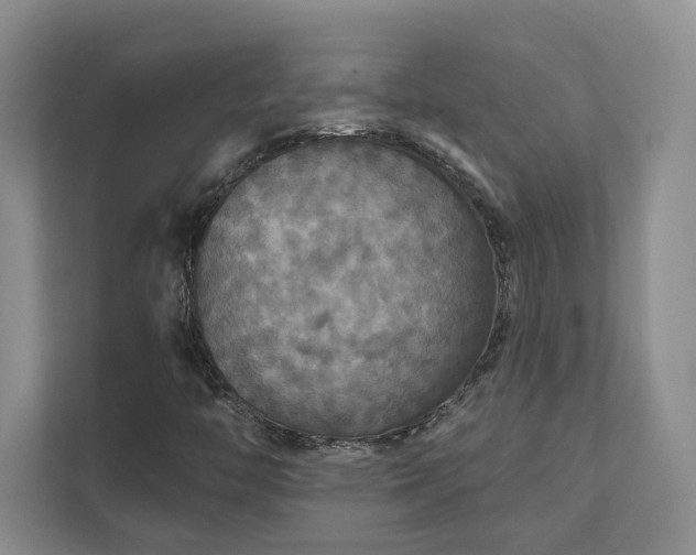 X0000111511446200907211153