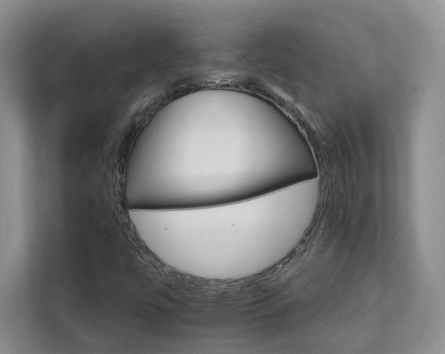X0000111511447200907211153