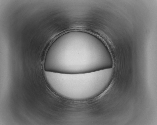 X0000111511449200907211153