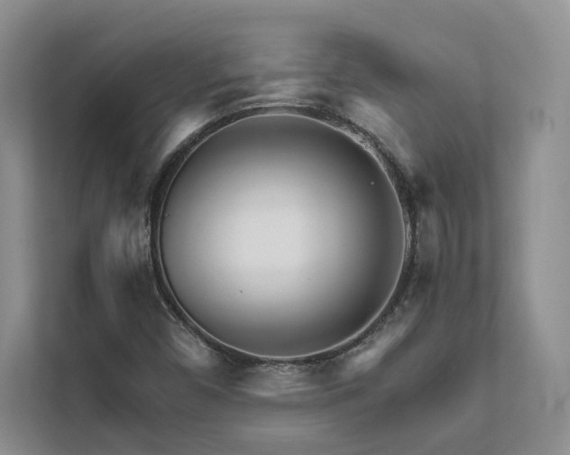X0000111511450200907211153
