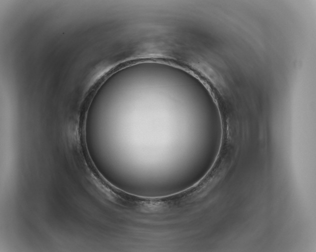 X0000111511452200907211153