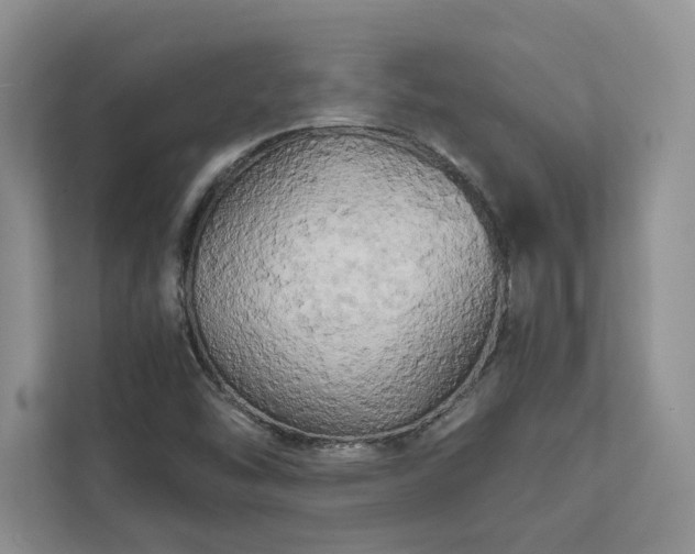 X0000111511454200907211153