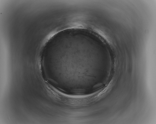 X0000111511455200907211153