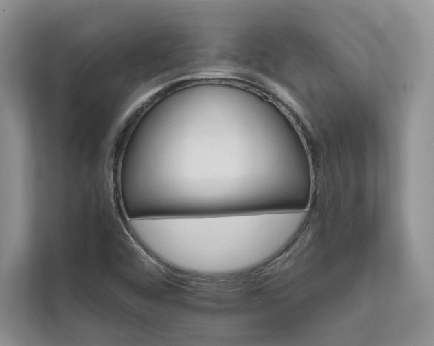 X0000111511456200907211153