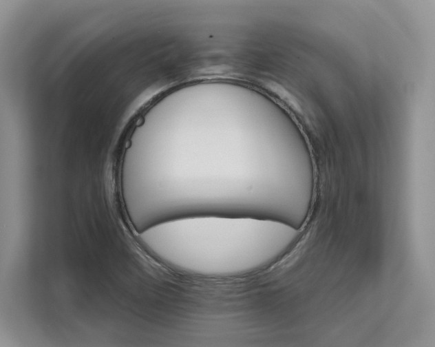 X0000111511458200907211153