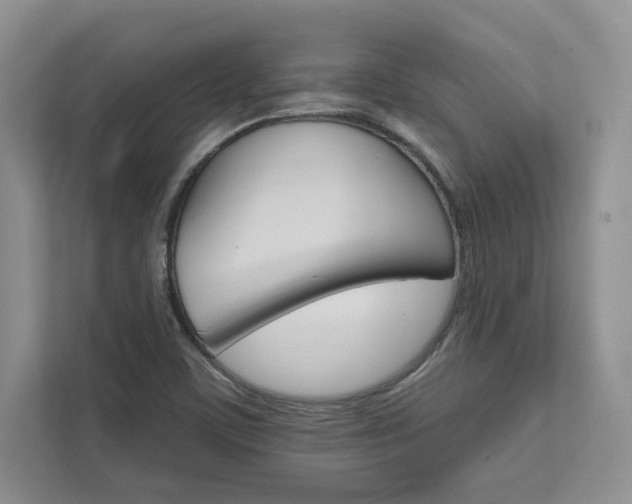 X0000111511459200907211153