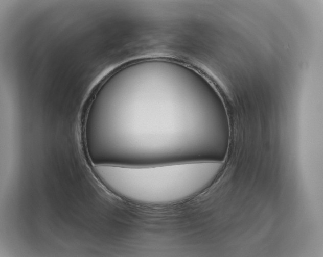 X0000111511460200907211153