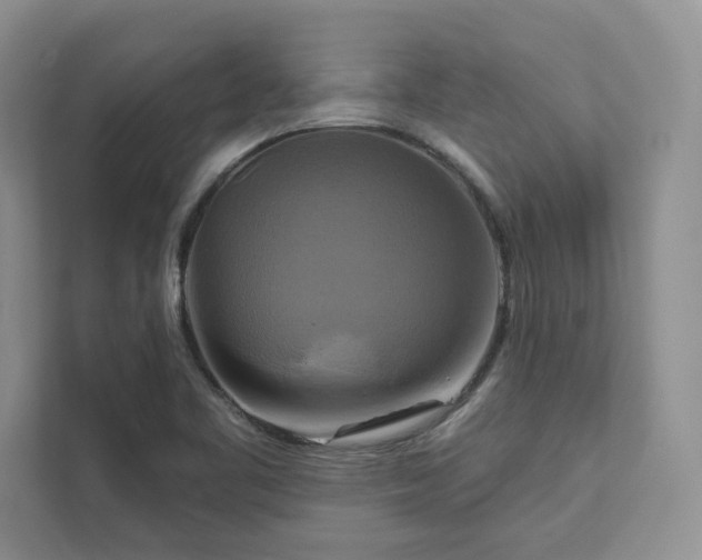 X0000111511461200907211153