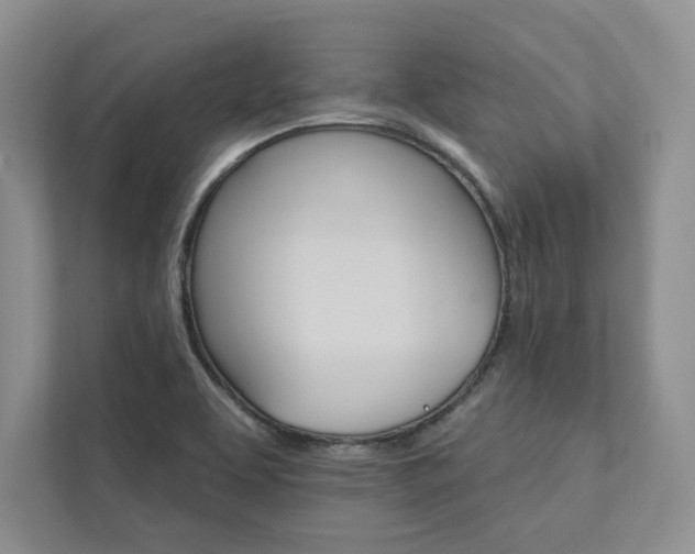 X0000111511463200907211153