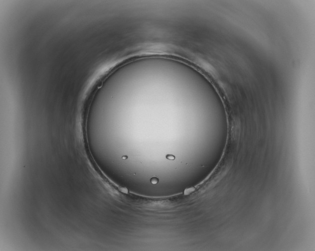 X0000111511464200907211153
