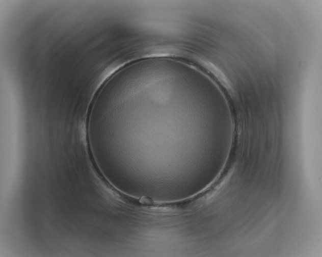 X0000111511465200907211153