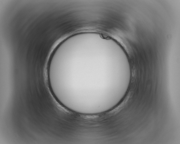 X0000111511466200907211153