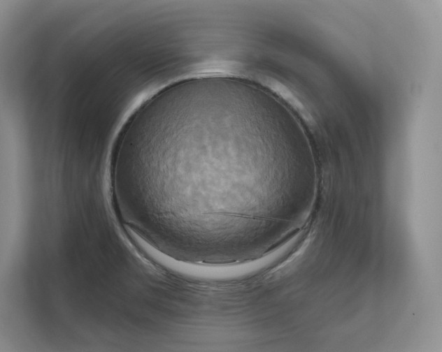 X0000111511469200907211153