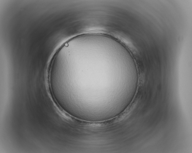 X0000111511470200907211153