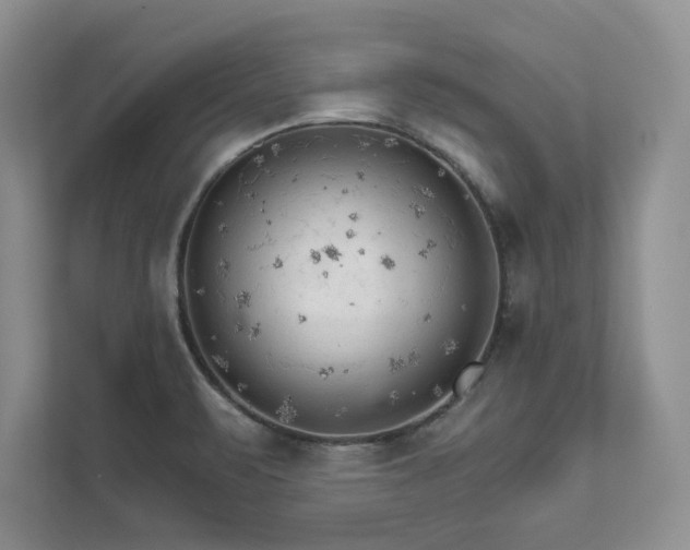 X0000111511471200907211153