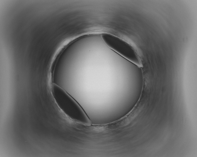 X0000111511472200907211153