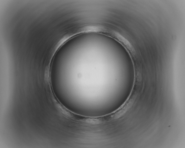 X0000111511473200907211153