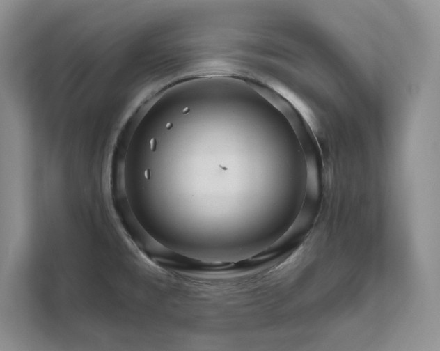 X0000111511477200907211153