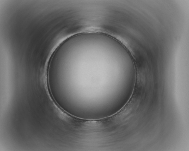 X0000111511478200907211153