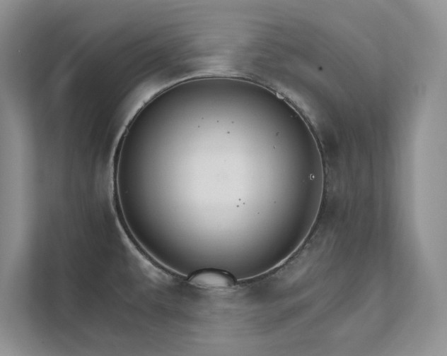 X0000111511479200907211153