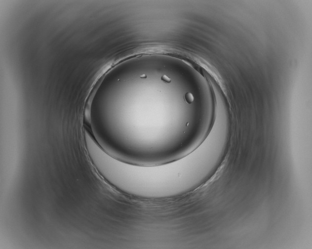 X0000111511481200907211153