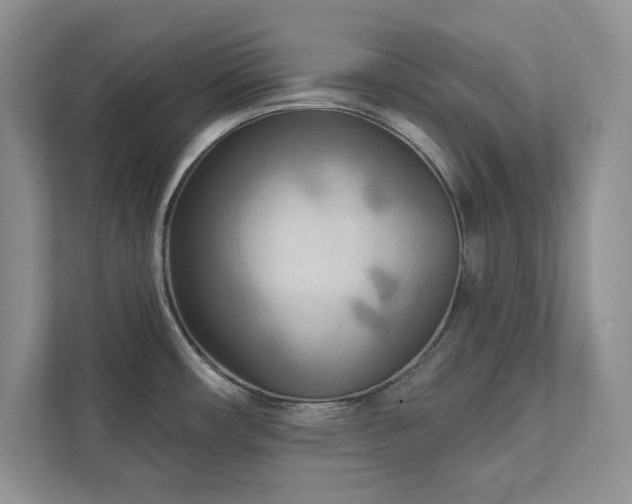 X0000111511482200907211153