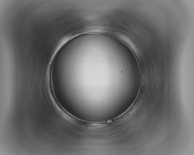 X0000111511483200907211153