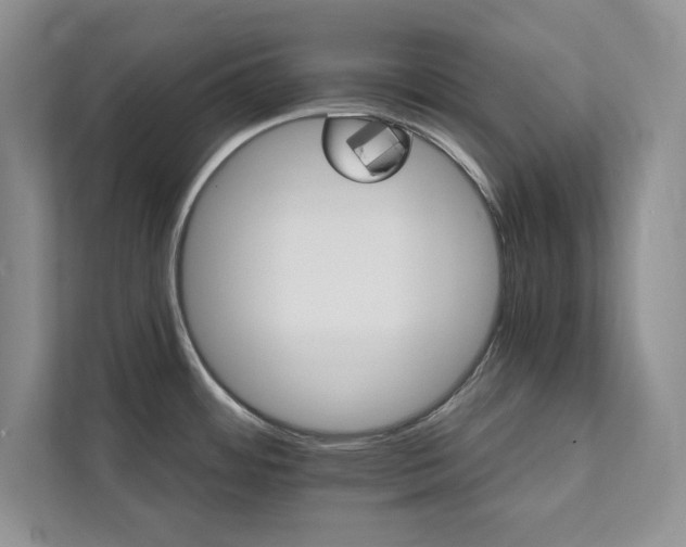 X0000111511484200907211153