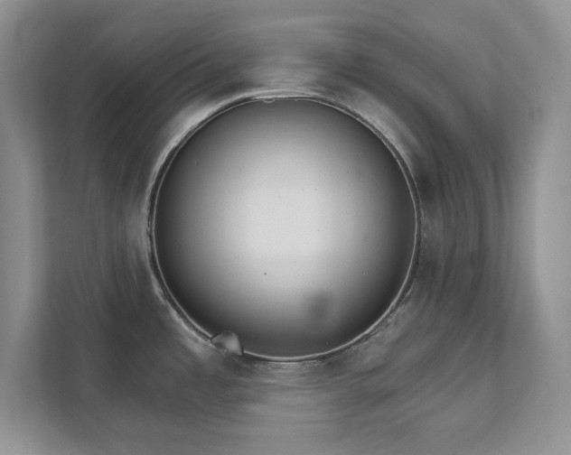 X0000111511485200907211153