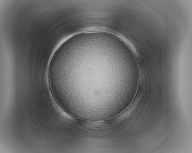 X0000111511486200907211153
