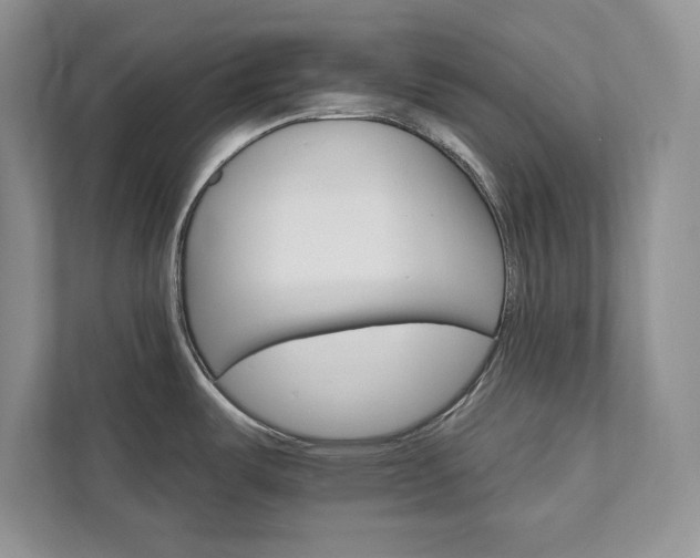 X0000111511487200907211153