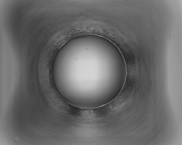 X0000111511489200907211152