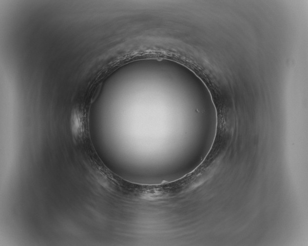 X0000111511490200907211152