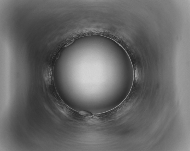 X0000111511492200907211152