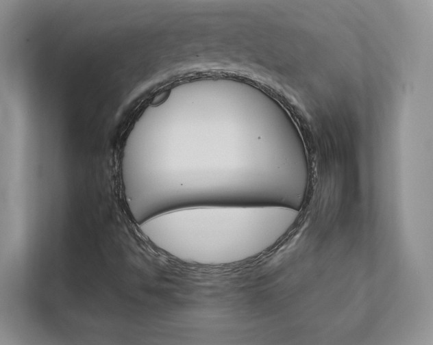 X0000111511494200907211152