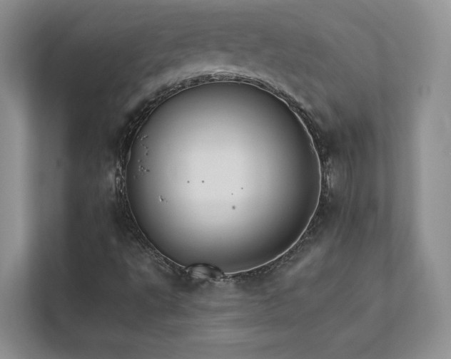 X0000111511495200907211152
