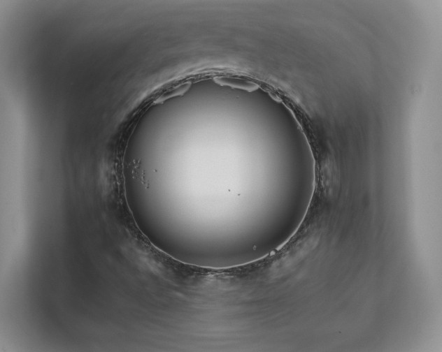 X0000111511496200907211152