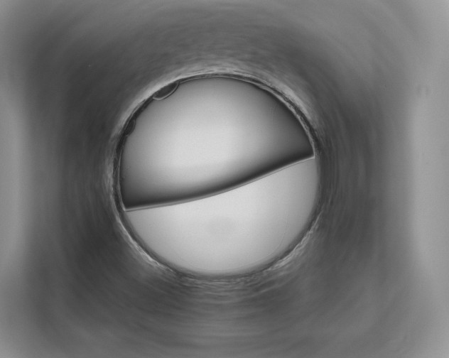 X0000111511500200907211152